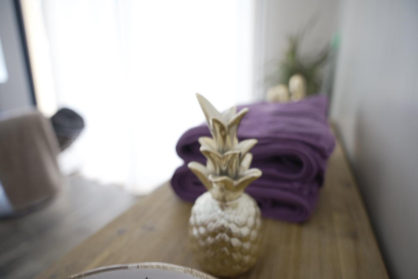 Atoumo Appartement Love Jacuzzi & Jardin Disneyland Paris Quincy-Voisins 客房 照片
